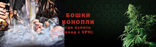 ешки Дмитриев