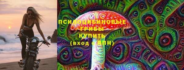 дурь Дмитровск