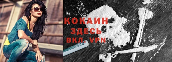 стаф Дмитров