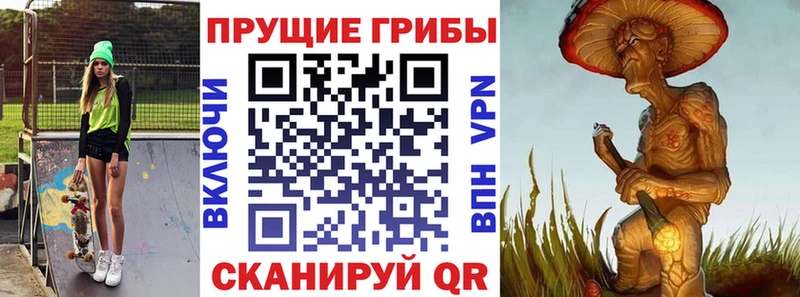 Купить  Кораблино  Галлюциногенные грибы Psilocybe 